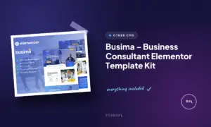 busima business consultant elementor template kit