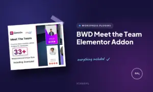 bwd meet the team elementor addon