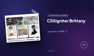 cssigniter brittany