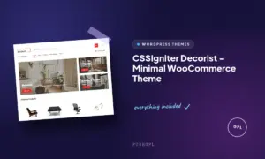 cssigniter decorist minimal woocommerce theme