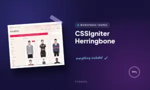 cssigniter herringbone