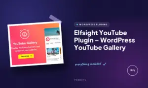 elfsight youtube plugin wordpress youtube gallery