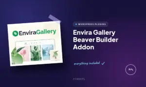 envira gallery beaver builder addon