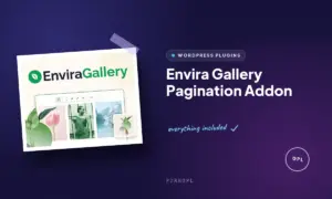 envira gallery pagination addon