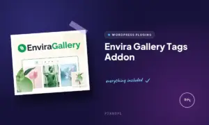 envira gallery tags addon