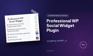 professional wp social widget plugin
