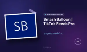smash balloon tiktok feeds pro 1