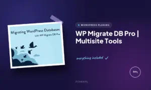 wp migrate db pro multisite tools