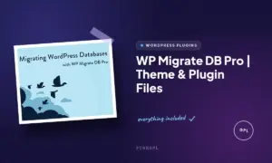 wp migrate db pro theme plugin files