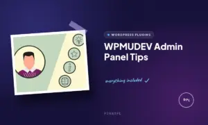 wpmudev admin panel tips