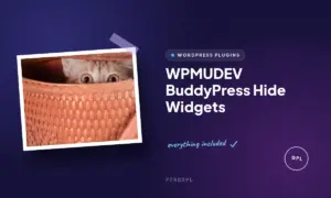 wpmudev buddypress hide widgets
