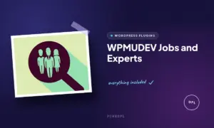 wpmudev jobs and experts