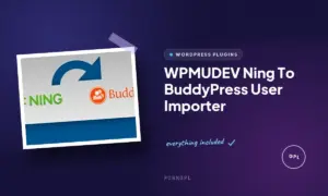 wpmudev ning to buddypress user importer