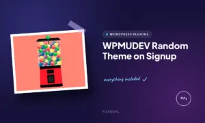 wpmudev random theme on signup