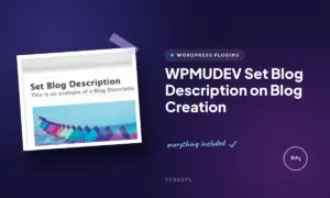 wpmudev set blog description on blog creation