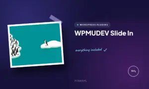 wpmudev slide in