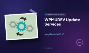 wpmudev update services
