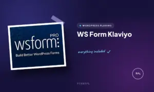 ws form klaviyo
