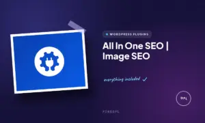 all in one seo image seo