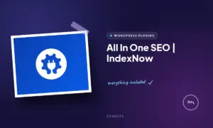 all in one seo indexnow