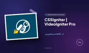 cssigniter videoigniter pro