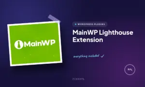 mainwp lighthouse extension