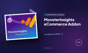 monsterinsights ecommerce addon