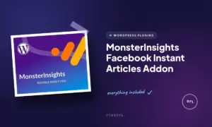 monsterinsights facebook instant articles addon