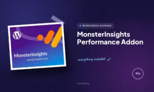 monsterinsights performance addon