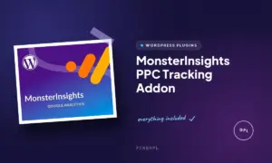 monsterinsights ppc tracking addon