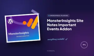 monsterinsights site notes important events addon
