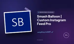 smash balloon custom instagram feed pro