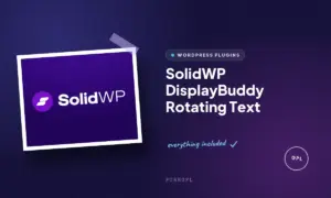 solidwp displaybuddy rotating text