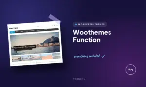 woothemes function
