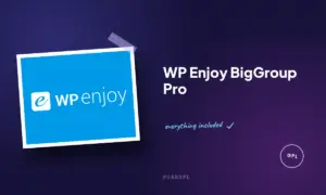 wp enjoy biggroup pro