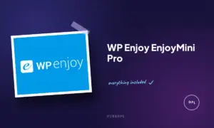 wp enjoy enjoymini pro