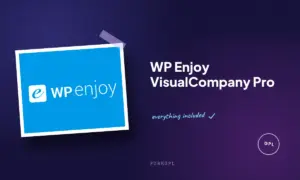 wp enjoy visualcompany pro