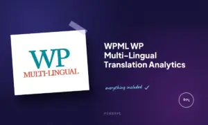 wpml wp multi lingual translation analytics