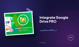 integrate google drive pro