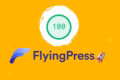 FlyingPress