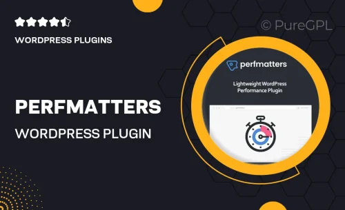 Perfmatters WordPress Plugin